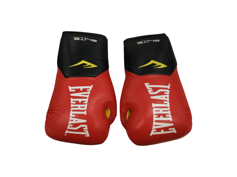 Used Everlast MD 10 oz Boxing Gloves